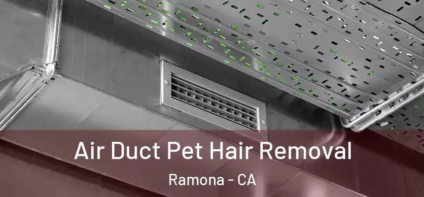  Air Duct Pet Hair Removal Ramona - CA
