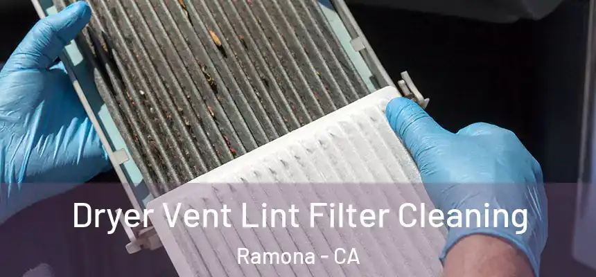  Dryer Vent Lint Filter Cleaning Ramona - CA