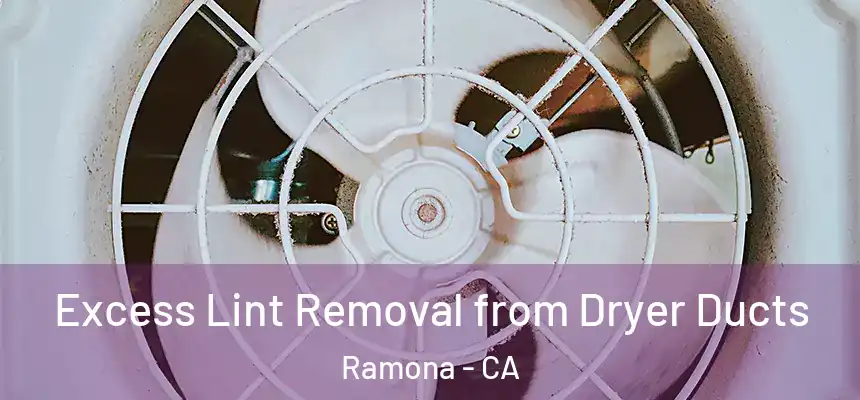  Excess Lint Removal from Dryer Ducts Ramona - CA