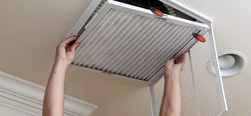 Preventive Cockroach-Proofing for Ducts in Ramona