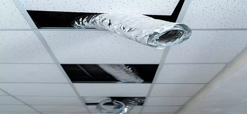 Affordable HVAC Sanitizing After Pest Removal in Ramona