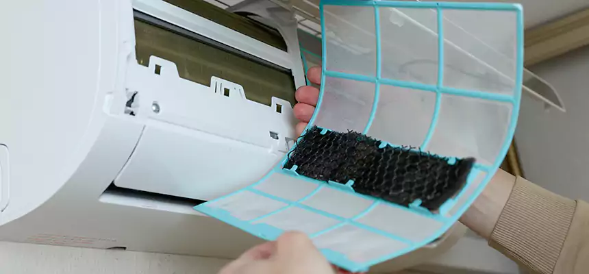 Gentle Ductwork Odor-Control Pet Dander Duct Cleaning in Ramona, CA