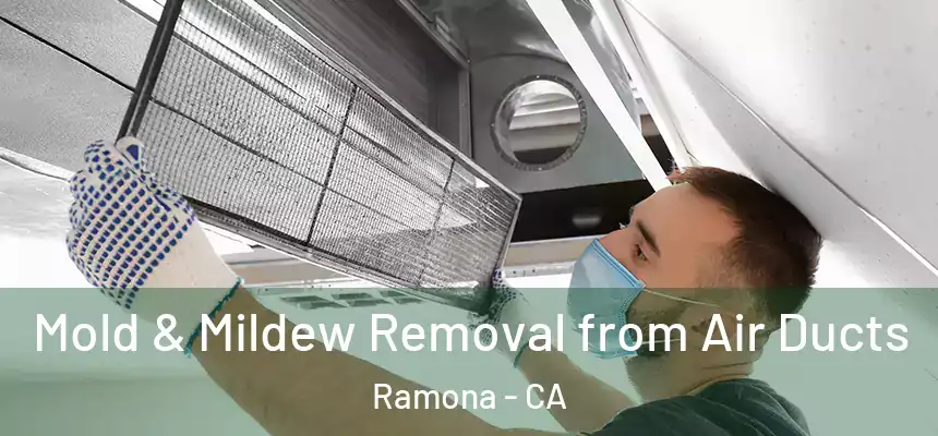  Mold & Mildew Removal from Air Ducts Ramona - CA