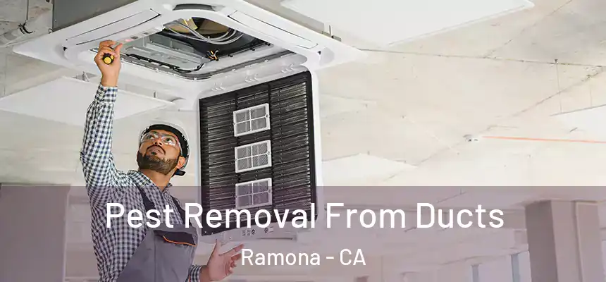  Pest Removal From Ducts Ramona - CA