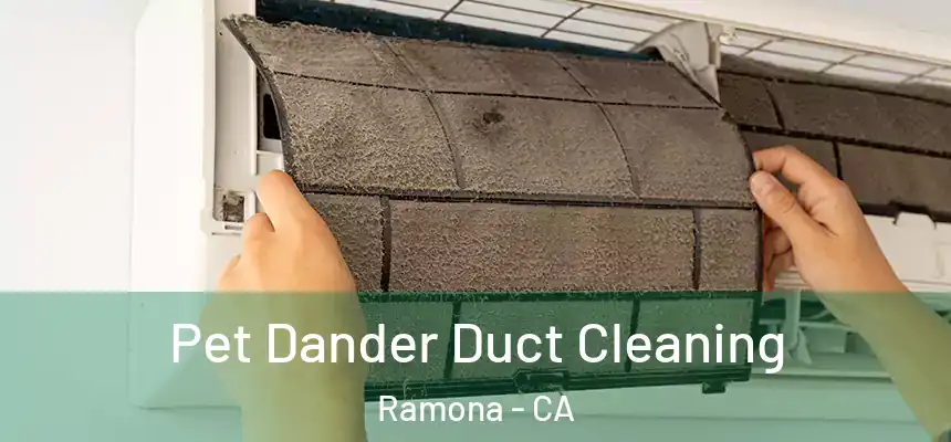  Pet Dander Duct Cleaning Ramona - CA