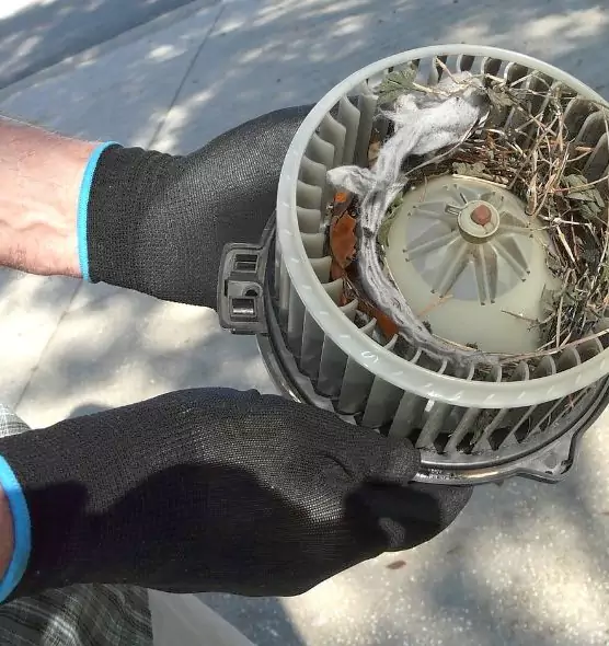 About Air Duct Mice Removal in Ramona, CA