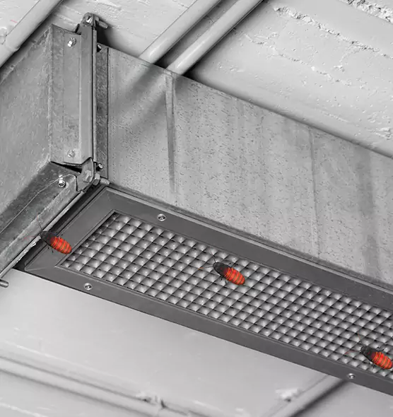 Affordable Insect Removal from Air Ducts in Ramona, CA