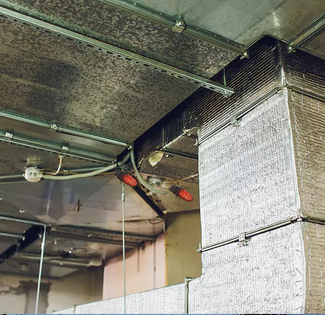 Why Homeowners & Businesses Trust Us Ramona, CA?