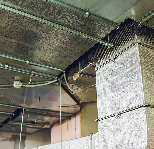 Why Homeowners & Businesses Trust Us in Ramona, CA?